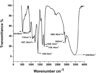 Enhancement of cell migration and wound healing by nano-herb ointment formulated with biosurfactant, silver nanoparticles and Tridax procumbens